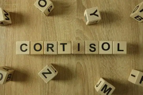 The Hidden Connection: How Stress Shapes Your Fitness and Body Composition 2 Image saying "Cortisol" and how stress Aldridge impacts your wellbeing and bodies shape